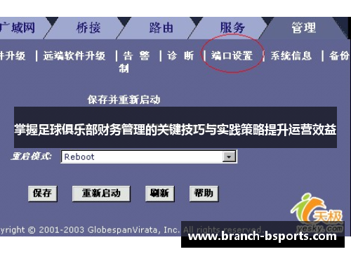 掌握足球俱乐部财务管理的关键技巧与实践策略提升运营效益