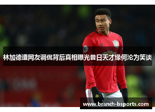 林加德遭网友调侃背后真相曝光昔日天才缘何沦为笑谈