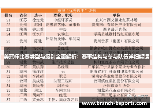 美冠杯比赛类型与级别全面解析：赛事结构与参与队伍详细解读