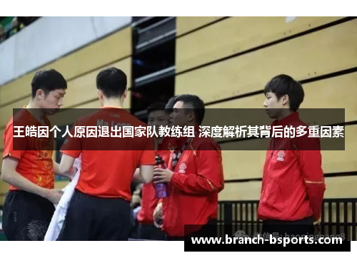 王皓因个人原因退出国家队教练组 深度解析其背后的多重因素 王皓因个人原因退出国家队教练组 深度解析其背后的多重因素